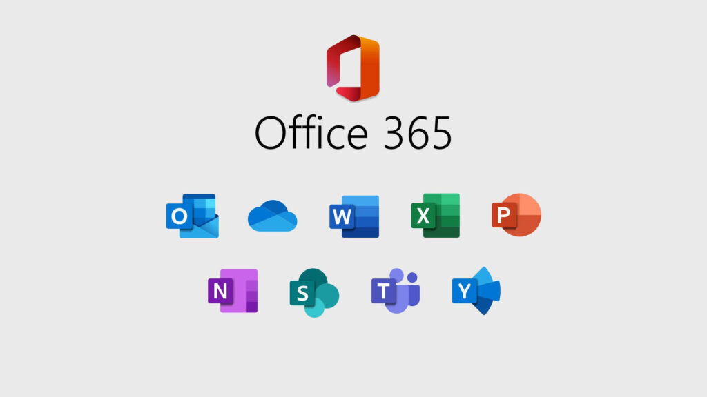 Office 365 lisans